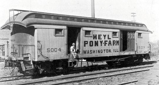 Ein Express-Wagen für  den Transport von Pferden, hier im Speziellen für Ponys der Heyl Pony Farm