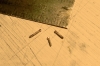 So entehen kleine Bolzen mit einem Sechskantkopf aus nut-bolt-washer-Bolzen (NBW) - wobei diese ziemlich genau eine Größe von 0,8 Millimeter haben.
